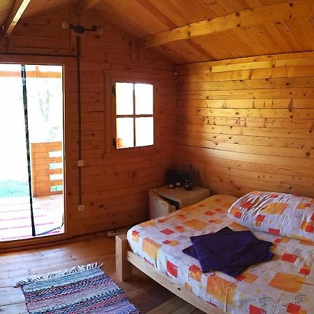 Retezat Retreat - Wood Cabin Βίλα Clopotiva Εξωτερικό φωτογραφία