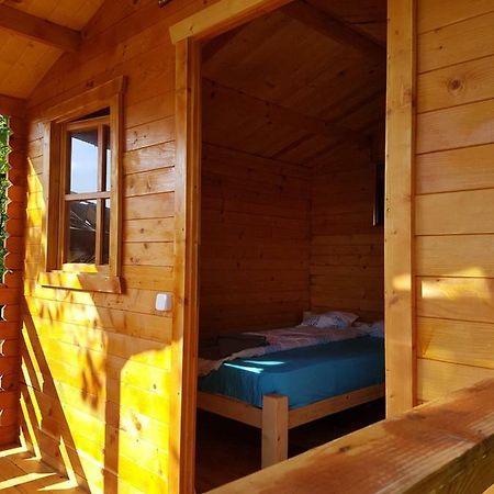 Retezat Retreat - Wood Cabin Clopotiva Εξωτερικό φωτογραφία