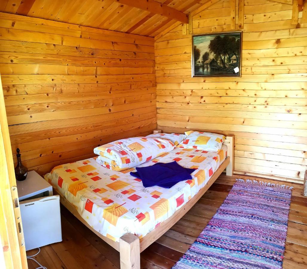 Retezat Retreat - Wood Cabin Βίλα Clopotiva Εξωτερικό φωτογραφία