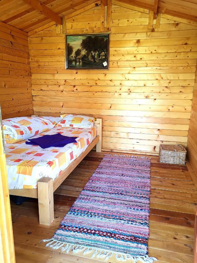 Retezat Retreat - Wood Cabin Βίλα Clopotiva Εξωτερικό φωτογραφία