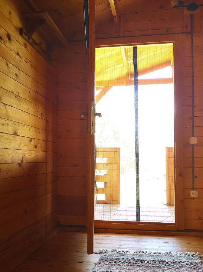 Retezat Retreat - Wood Cabin Βίλα Clopotiva Εξωτερικό φωτογραφία