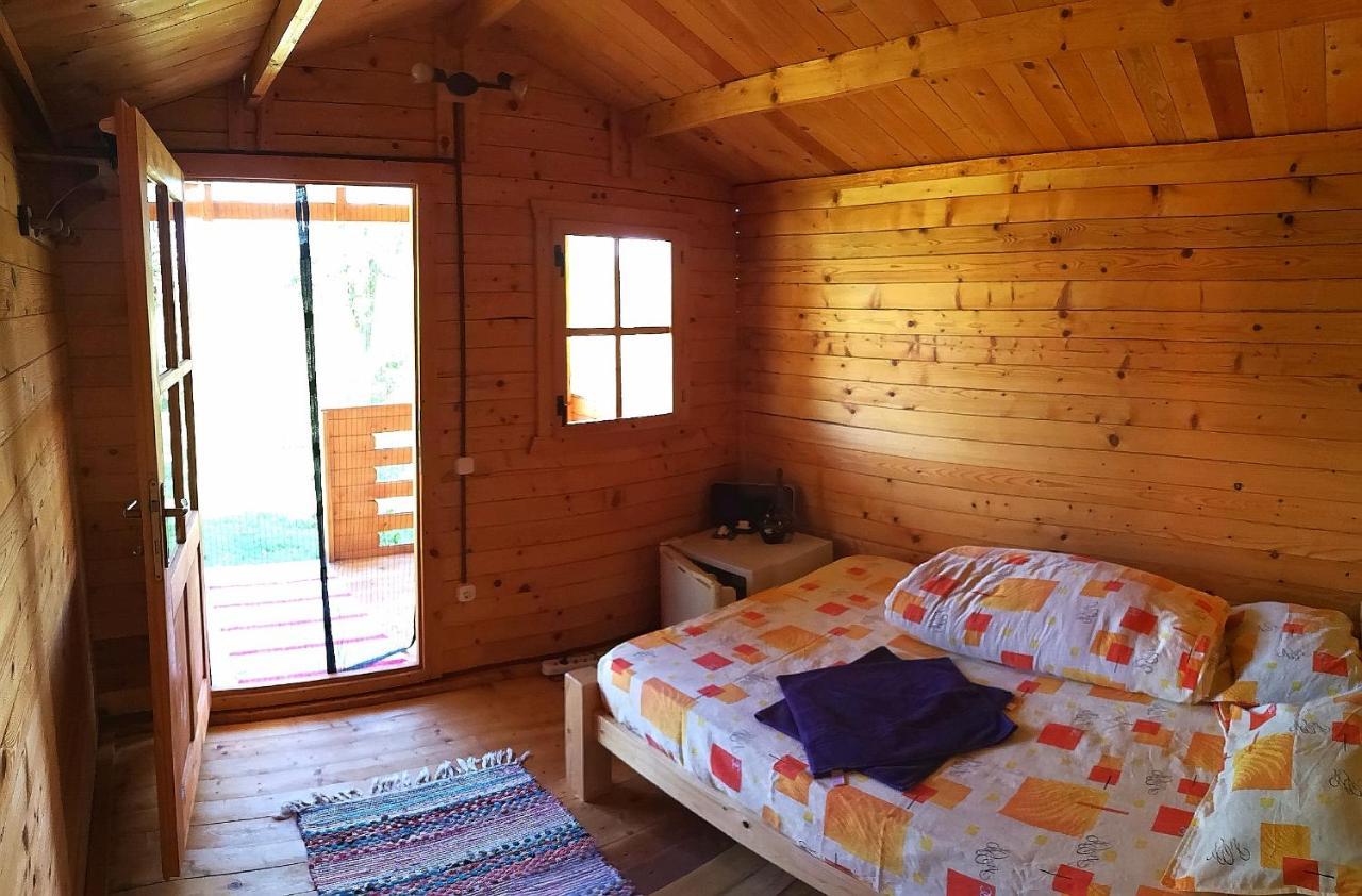 Retezat Retreat - Wood Cabin Clopotiva Εξωτερικό φωτογραφία
