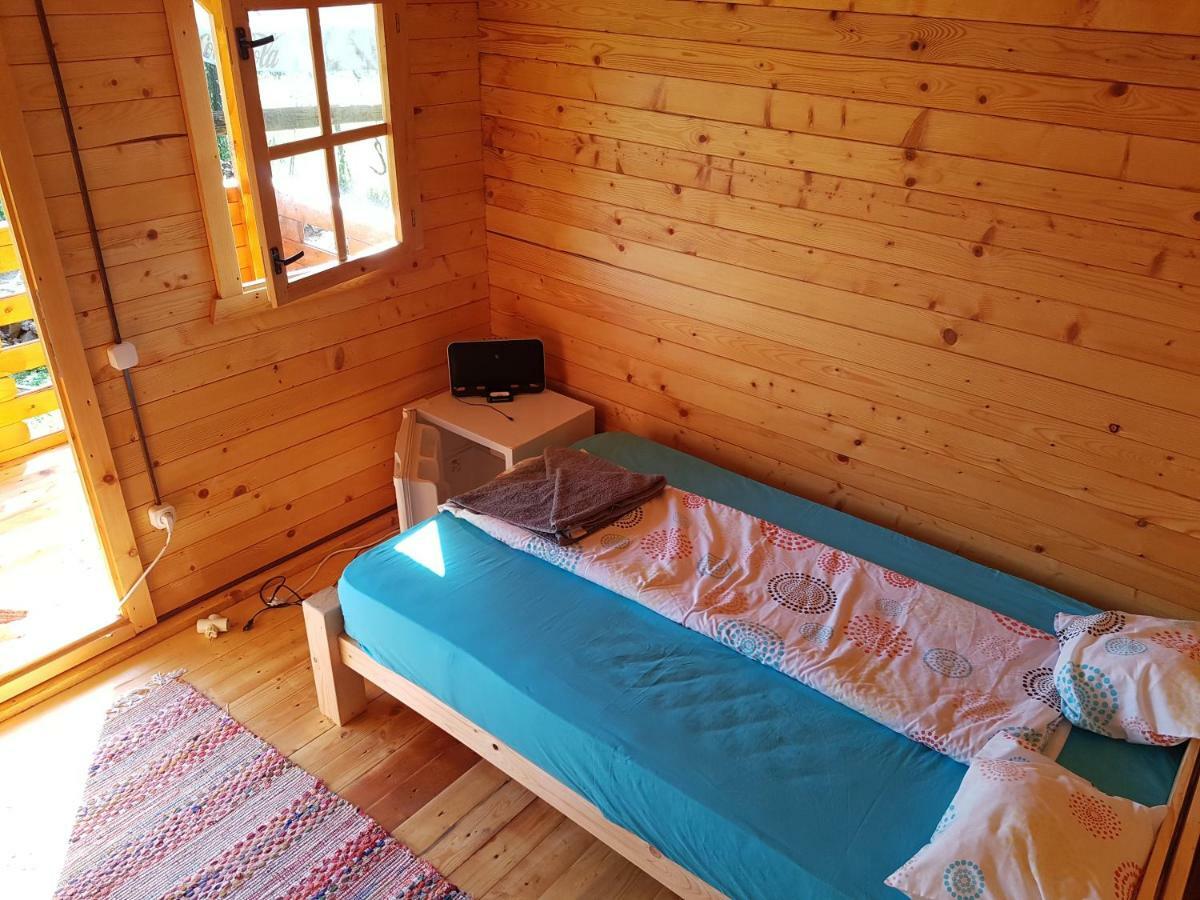 Retezat Retreat - Wood Cabin Βίλα Clopotiva Εξωτερικό φωτογραφία