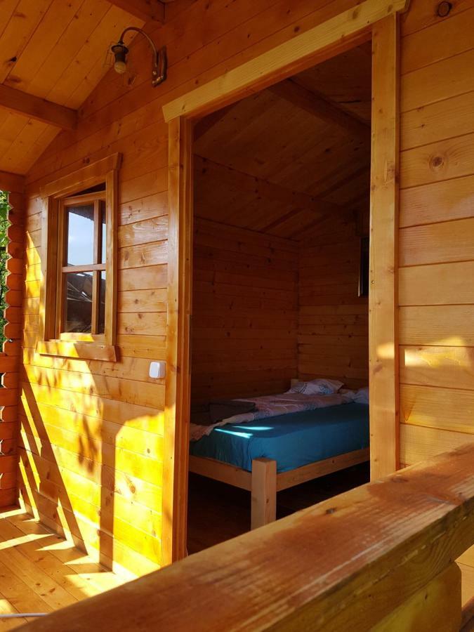 Retezat Retreat - Wood Cabin Clopotiva Εξωτερικό φωτογραφία